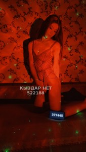 Транс Алматы Транс№522188 Дильназ Работаю Фотография №3945547