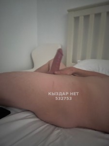 Жиголо Алматы Парень№532753 Albert Фотография №3983336